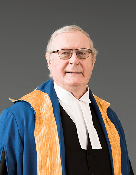 The Honourable Mr. Justice David Hayton – former Judge (2005-2019)