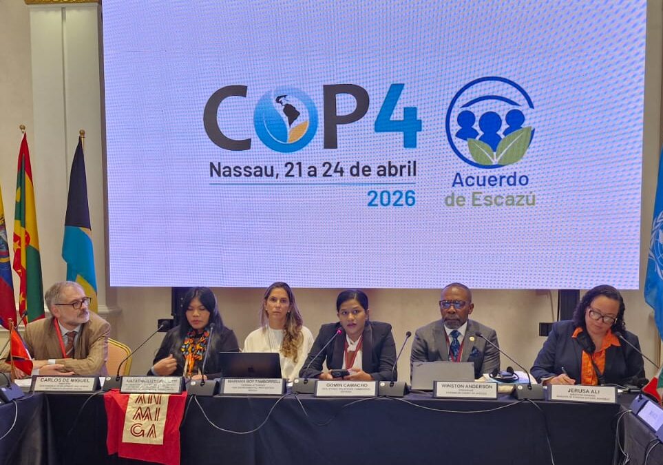 CCJ President Addresses Environmental Rule of Law at International Conference